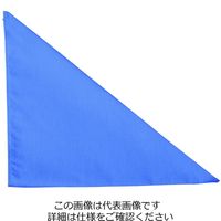 アルトコーポレーション キレイな三角巾 スカイブルー フリー FR-9200-32 1セット（2枚）（直送品）