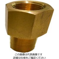 イシグロ ゲージジョイント(黄銅製) IVLーIJ10ー381 1個（直送品）