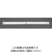 エスコ 200mm [中心振分/下目盛]スケール EA948J-122 1セット(10個)（直送品）