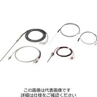 オムロン 温度センサ(汎用タイプ) 一般形白金測温抵抗体 E52ーP35CーND=10 1個（直送品）