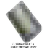 扶桑精機 扶桑 ルミナ自動スプレーガン PSー3K型用部品 #19 固定ネジ 29278 1個 810-5911（直送品）