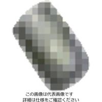 扶桑精機 扶桑 ルミナ自動スプレーガン PSー3K型用部品 #31 液量調節器ネジ 29290 1個 810-5923（直送品）