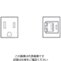 寺田電機製作所 TSK専用器具ブロック 接地2P15A125V×1