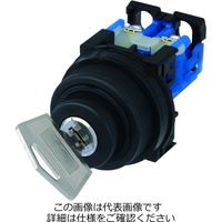 富士電機 AR30・DR30 AR30JARー2A10A 1セット(2個)（直送品）