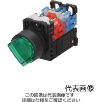 富士電機 AR22・DR22 AR22PLー210E3G 緑 1セット(2個)（直送品）