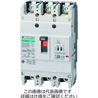 富士電機 EW250EAN EW250EANー3P175K 1個（直送品）