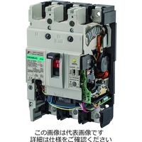 富士電機 EW250EAG EW250EAGー3P125B 1個（直送品）