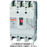 富士電機 BW250EAG BW250EAMー3P125 1個（直送品）