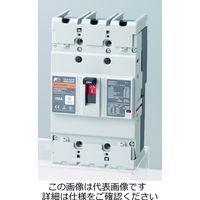 富士電機 BW250EAGU BW250EAGUー3P200 1個（直送品）