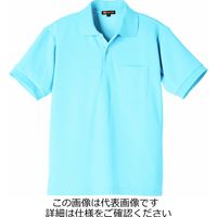 タカヤ商事 半袖ポロシャツ ペールブルー SS DV-P554-38-SS 1枚（直送品）