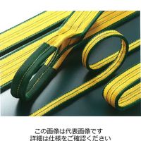 明大 ロックスリング シグマ A-1-25×8.0 A-1-25-8.0 1個（直送品）