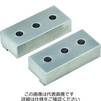 ナベヤ（NABEYA） ロックタイト5軸マシンバイス付属品 LT5AU100SCJS 1個（直送品）