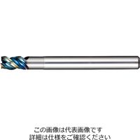 日進工具 アルミ用高能率エンドミル（DLCコーティング） ALZ345-DLCφ4×12 01-00666-00400 1本（直送品）