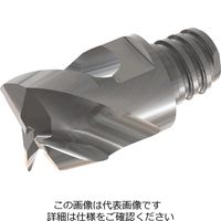 イスカル TAチップ MMEA120H12R0.2CFー3T0808 1セット(2個)（直送品）