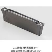 イスカル（ISCAR） TAチップ DGL2202C