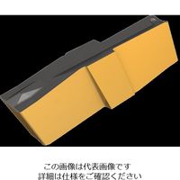 イスカル TAチップ GIP3.00ー0.40RSIC20(6400744 GIP3.00-0.40RSIC20 1セット(20個)（直送品）