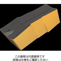 イスカル TAチップ GIP3.00Eー0.40RSIC20(6400641 GIP3.00E-0.40RSIC20 1セット(20個)（直送品）