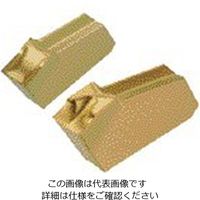 イスカル TAチップ GSFN