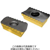 イスカル TAチップ P290ACKT1806PDRーFWEーP28 1セット(10個)（直送品）