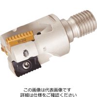 イスカル シュレッドミル P290EPWD25ー3ーM12ー12 P290EPWD25-3-M12-12 1台（直送品）