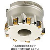 イスカル ヘリタングミル T490FLND250ー30ー60ーRー13 1台（直送品）