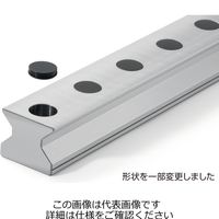 日本精工 NSK レールキャップ LGーCAP/M14 LG-CAP/M14 1セット(100個:20個×5箱)（直送品）