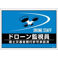 日本緑十字社 差し込み用台紙 DRD-2 ドローン監視員 237217 1組（2枚）（直送品）