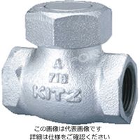 キッツ 10SN FCDリフトチャッキ弁 10SN-40A 1台（直送品）