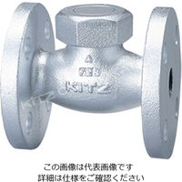 キッツ 10SNBF FCDリフトチャッキ弁【フランジ】 10SNBF-32A 1台（直送品）