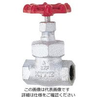 キッツ（KITZ） 10SPD FCDグローブ弁【テフロンジスク入】 10SPD