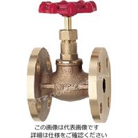 キッツ（KITZ） ステンレス鋼製汎用グローブバルブ10K 1 1/4 UDB