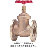 キッツ EBH 青銅ゲート弁【150型・フランジ】 EBH-80A 1台（直送品）