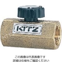 キッツ（KITZ） BSGV 黄銅 圧力計用ゲージバルブ 【20K】 M-BSGV_10A 1台（直送品）