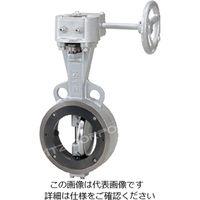 東洋バルヴ 電動 ボール（A10-UBF-MX） A10-UBF-MX 25A 1個（直送品