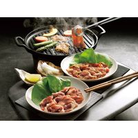 サニーフーズ 国産ポーク焼肉（味付） SA-520 1セット（直送品）