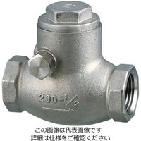 エスコ（esco） スイングチャッキバルブ EA465AC