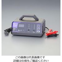 エスコ AC100V/6ー140Ah 自動パルス充電器 EA815YA-45 1台（直送品）