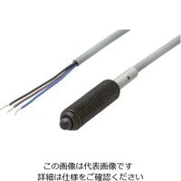 イマオコーポレーション イマオ KIPP SPEPF10ーNC 1個（直送品）