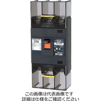 テンパール工業 漏電遮断器 223EA20W2 1台（直送品）