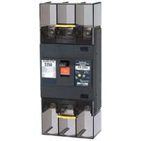 テンパール工業 漏電遮断器 223EA22W2 1台（直送品）