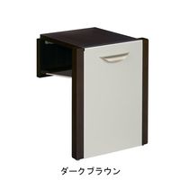 杉田エース 玄関用収納チェアー ダークブラウン 455834 1個(1脚)（直送品）