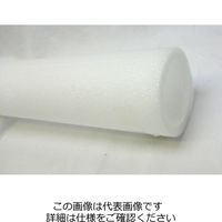 ytHi pCvJo[ NP40X2M NP40X2 1Zbg(20{)iij
