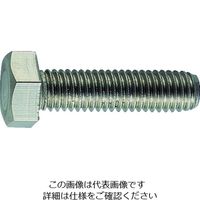中海鋼業 寸切ボルト 鉄 ドブ（溶融亜鉛メッキ） 36×285 （1 NZB-SS