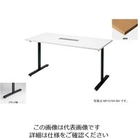 ナイキ 会議用テーブル （矩形・H720） （配線ボックス付） MP1590H