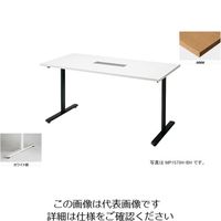ナイキ 会議用テーブル （矩形・H720） （配線ボックス付） MP1290H