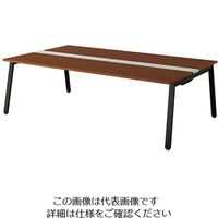 ナイキ 大型ベンチテーブル (基本型) (両面タイプ) RXFN2414K-BWN 1台 209-1745（直送品）