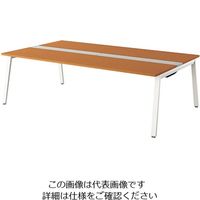 ナイキ 大型ベンチテーブル (基本型) (両面タイプ) RXFN2414K-WMW 1台 208-6859（直送品）
