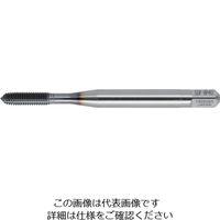 ヤマワ ハイパフォーマンスロールタップ HP-RZ G8