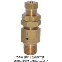 近畿製作所 近畿 リリーフバルブ 1.0メガパスカル 1/4 NO.210RV 1.0MPA 1個 805-0882（直送品）