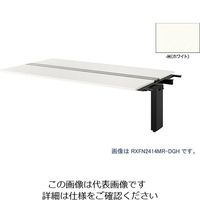 ナイキ 大型ベンチテーブル (連結型) (両面タイプ) RXFN2014R-BH 1台 209-1278（直送品）